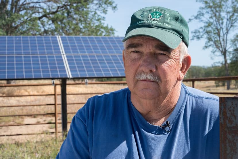 A person in a cap standing in front of a row of solar panels