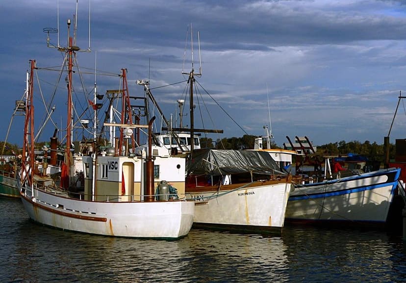 Fishing boats moored side by side in a harbour