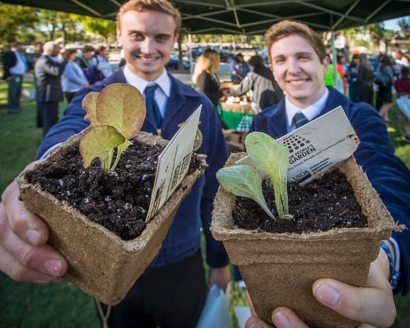 Two people in suits holding pots of young seedlings at an outdoor event