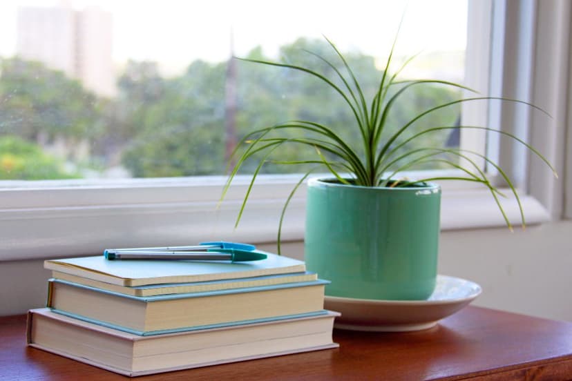 A stack of books and a potted plant on a windowsill